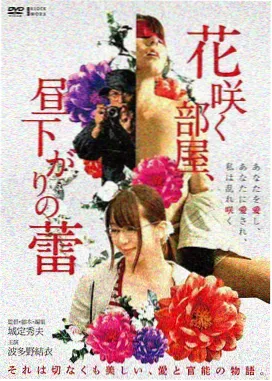 碗莲小舞妃在小型陶盆中的开花状态